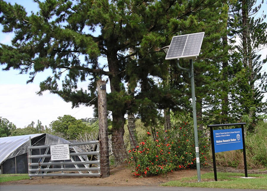 USDA ARS Solar Pathway Lighting System